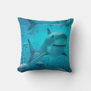 shark  cushion