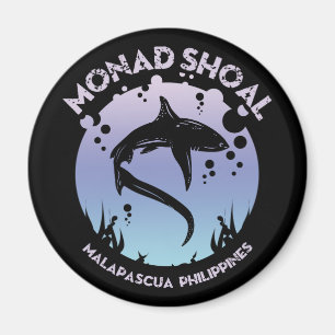 Shark Diving At Monad Shoal Magnet