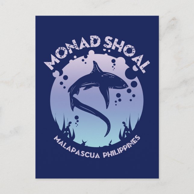 Shark Diving At Monad Shoal Postcard (Front)