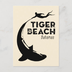 Shark Diving at Tiger Beach Postcard