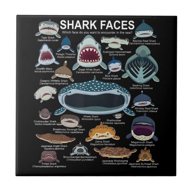 Shark Faces Which Face Do You Want To Encounter Ceramic Tile (Front)