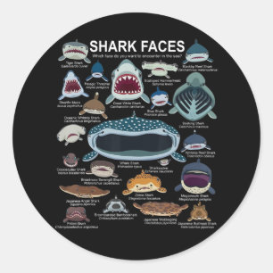Shark Faces Which Face Do You Want To Encounter Classic Round Sticker
