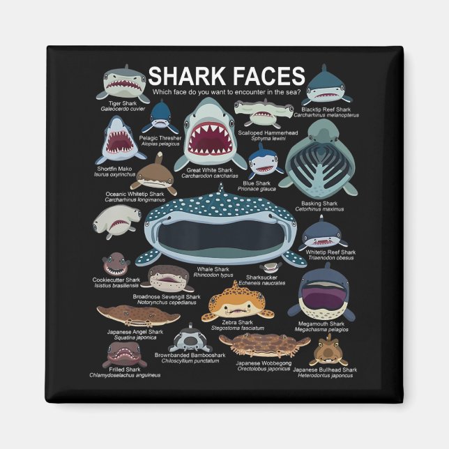 Shark Faces Which Face Do You Want To Encounter Magnet (Front)