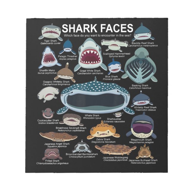 Shark Faces Which Face Do You Want To Encounter Notepad (Front)