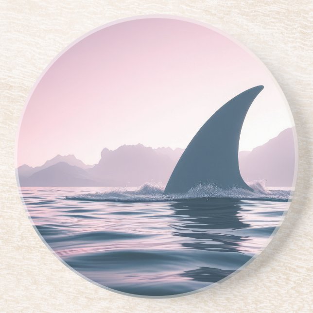 Shark Fin Power Coaster (Front)