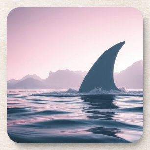 Shark Fin Power Coaster