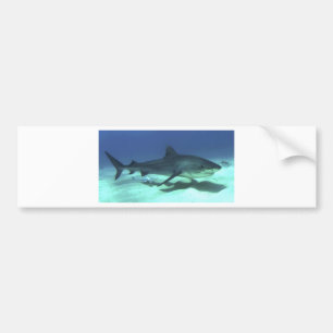 Shark Fish Ocean Tropical Ocean Destiny Gifts Bumper Sticker
