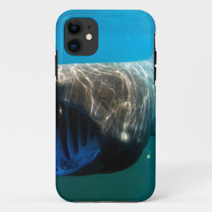 Shark Fish Ocean Tropical Ocean Destiny Gifts iPhone 11 Case