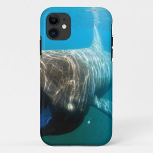 Shark Fish Ocean Tropical Ocean Destiny Gifts iPhone 11 Case