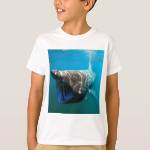 Shark Fish Ocean Tropical Ocean Destiny Gifts T-Shirt