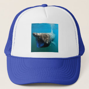 Shark Fish Ocean Tropical Ocean Destiny Gifts Trucker Hat