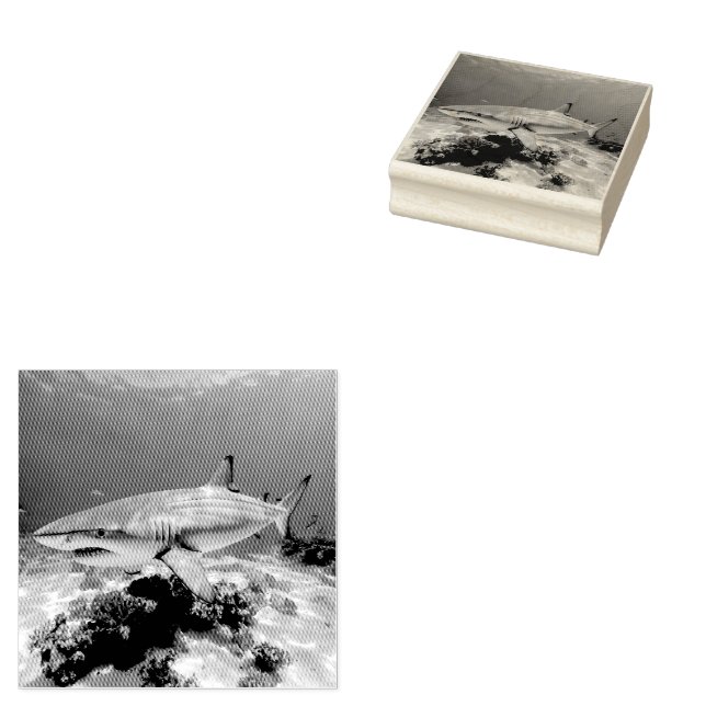 shark fish  rubber stamp (Stamped)