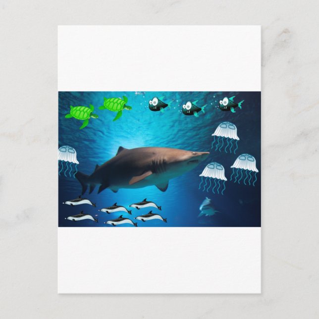 Shark Fish Turtles Dolphins Tropical Ocean Water Postcard (Front)