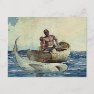 Shark Fishing, 1885 Postcard