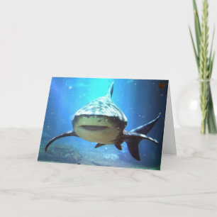 Shark Greeting Card