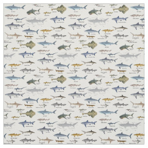Shark Identification charts labeled Fabric