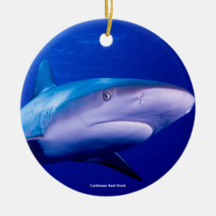 Shark image for Circle-Ornament Ceramic Ornament