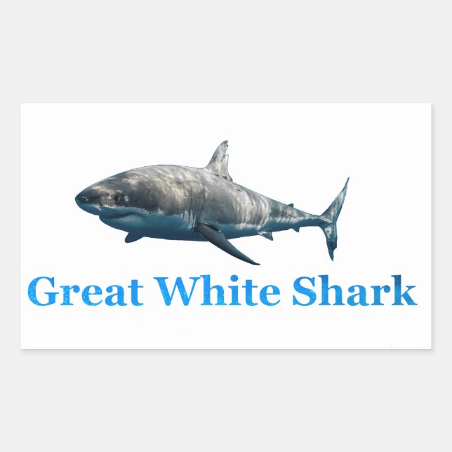 Shark image for Rectangle-Stickers-Glossy Rectangular Sticker (Front)