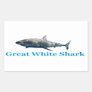 Shark image for Rectangle-Stickers-Glossy Rectangular Sticker