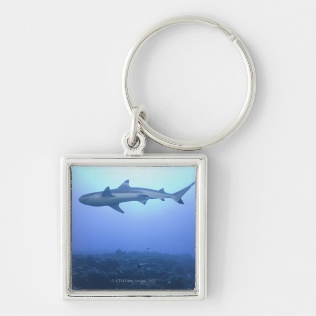 Shark in ocean, low angle view key ring (Front)
