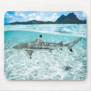 Shark in the Waters Mouse Pad