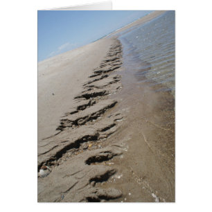 Shark Island North Carolina Outer Banks