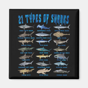 Shark Lovers 21 Types Of Sharks Ocean Animal Magnet