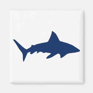 Shark Magnet