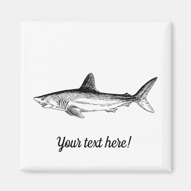 Shark Magnet (Front)