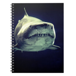 Shark Notebook