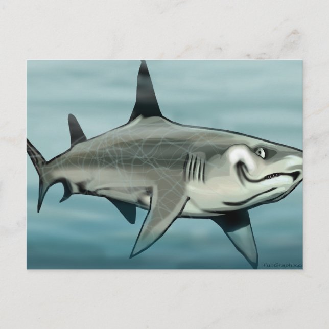 Shark Postcard (Front)