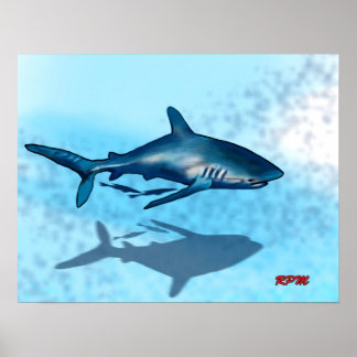 Shark Poster