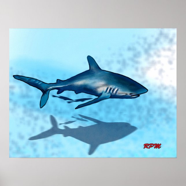 Shark Poster (Front)