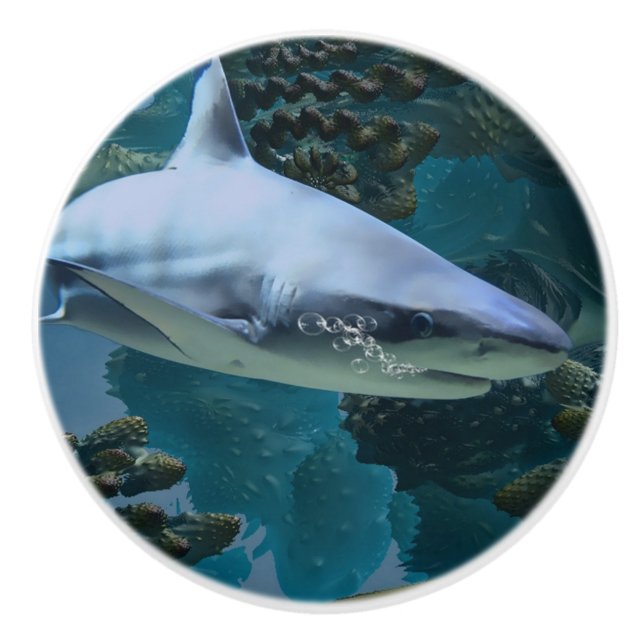 Shark power ceramic knob (Front)