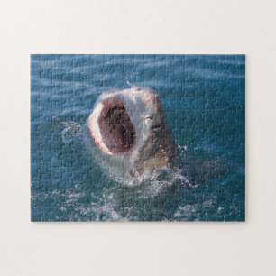 Shark Puzzle