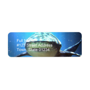 Shark Return Address Label