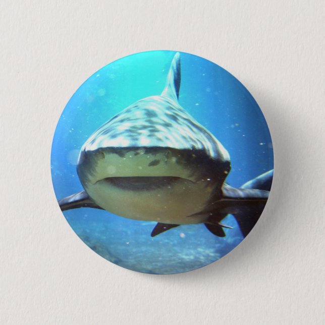 Shark Round Pin (Front)