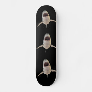 SHARK SHARKS SKATEBOARD