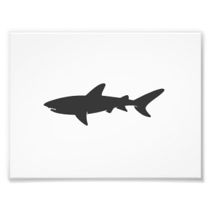 Shark silhouette - Choose background color Photo Print