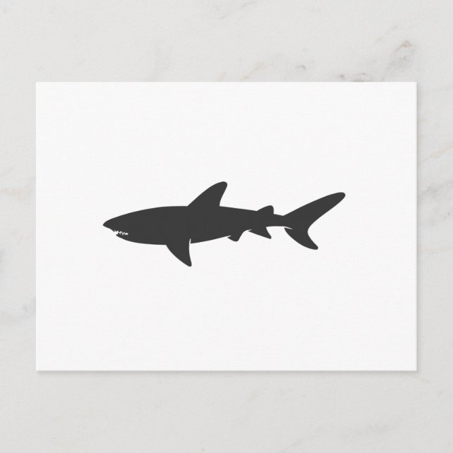 Shark silhouette - Choose background colour Postcard (Front)