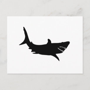 Shark Silhouette Postcard