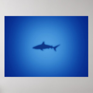 Shark silhouette poster