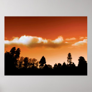 Shark silhouette poster