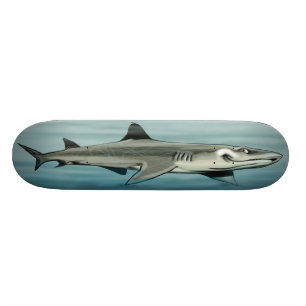 Shark  Skateboard