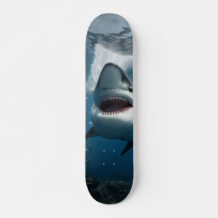 Shark Skateboard in the Blue Sea