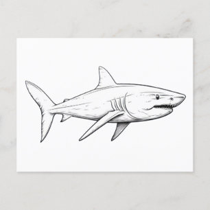 Shark sketch postcard