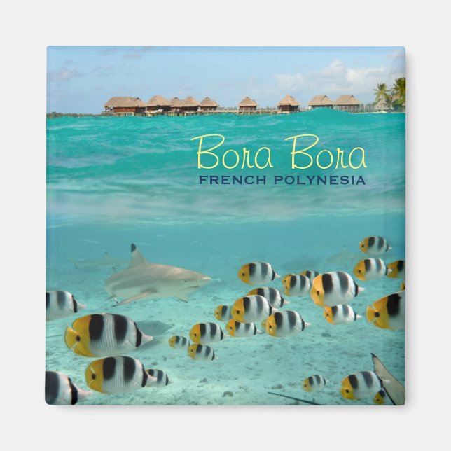 Shark square magnet with Bora Bora text (Front)