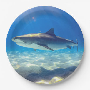 Shark Swimming Blue Ocean Water Paper Plate