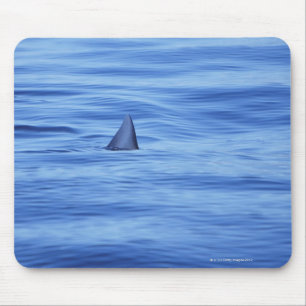 Shark swimming in ocean water mouse pad