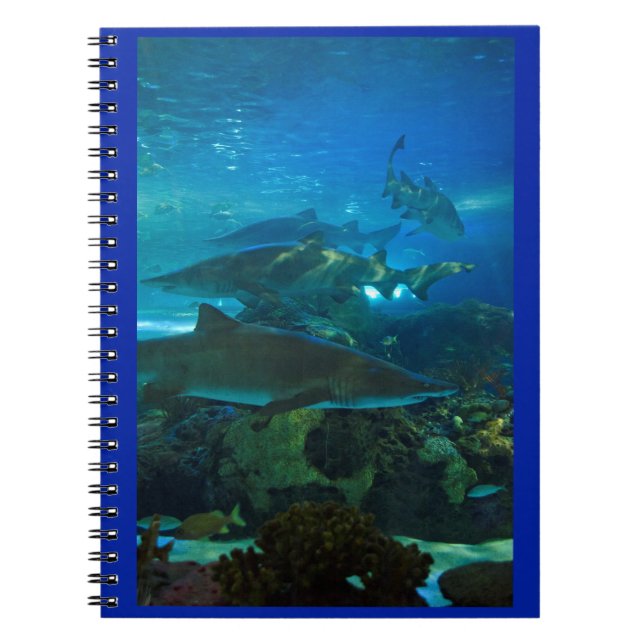 Shark tank aquarium fish notebook (Front)